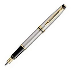 Waterman Expert Stainless Steel GT Fountain Pen